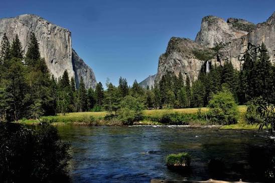 Excursión Yosemite y Gran Sequoia