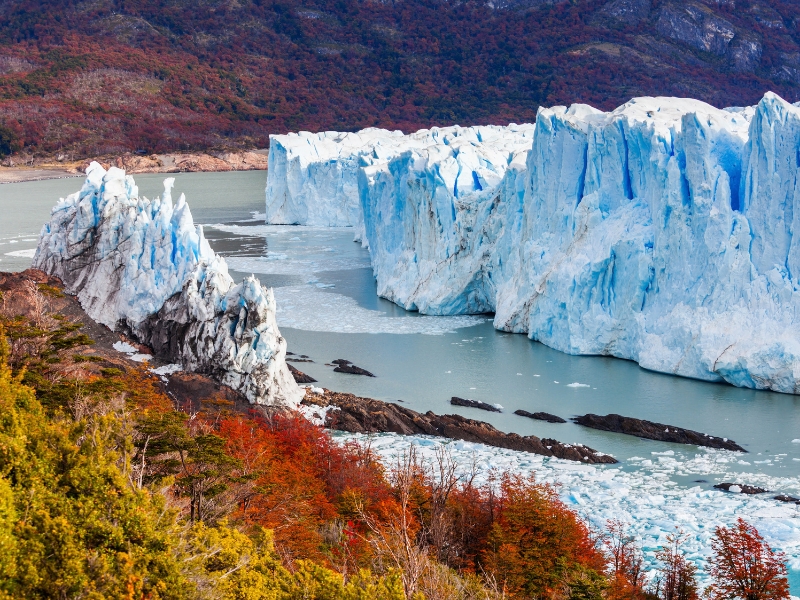 El Calafate Express