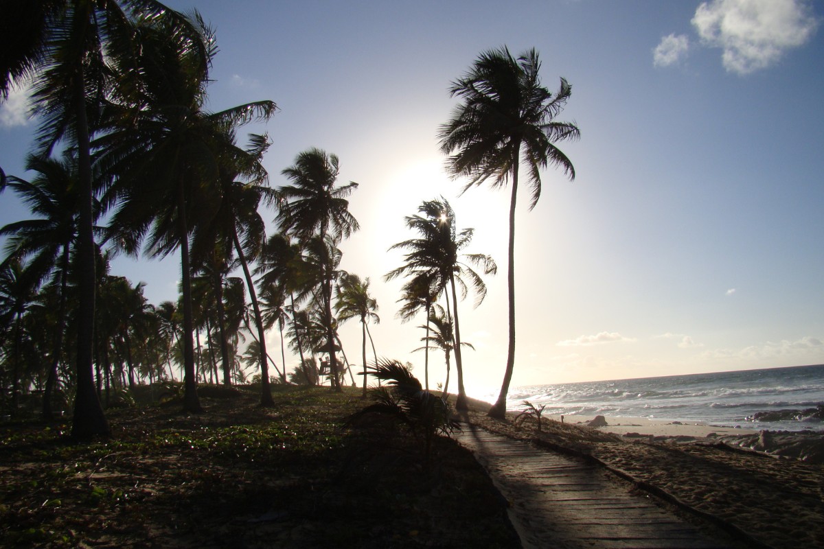 Costa do Sauípe Único | Salida 29 de marzo 2026 | Sky Airline