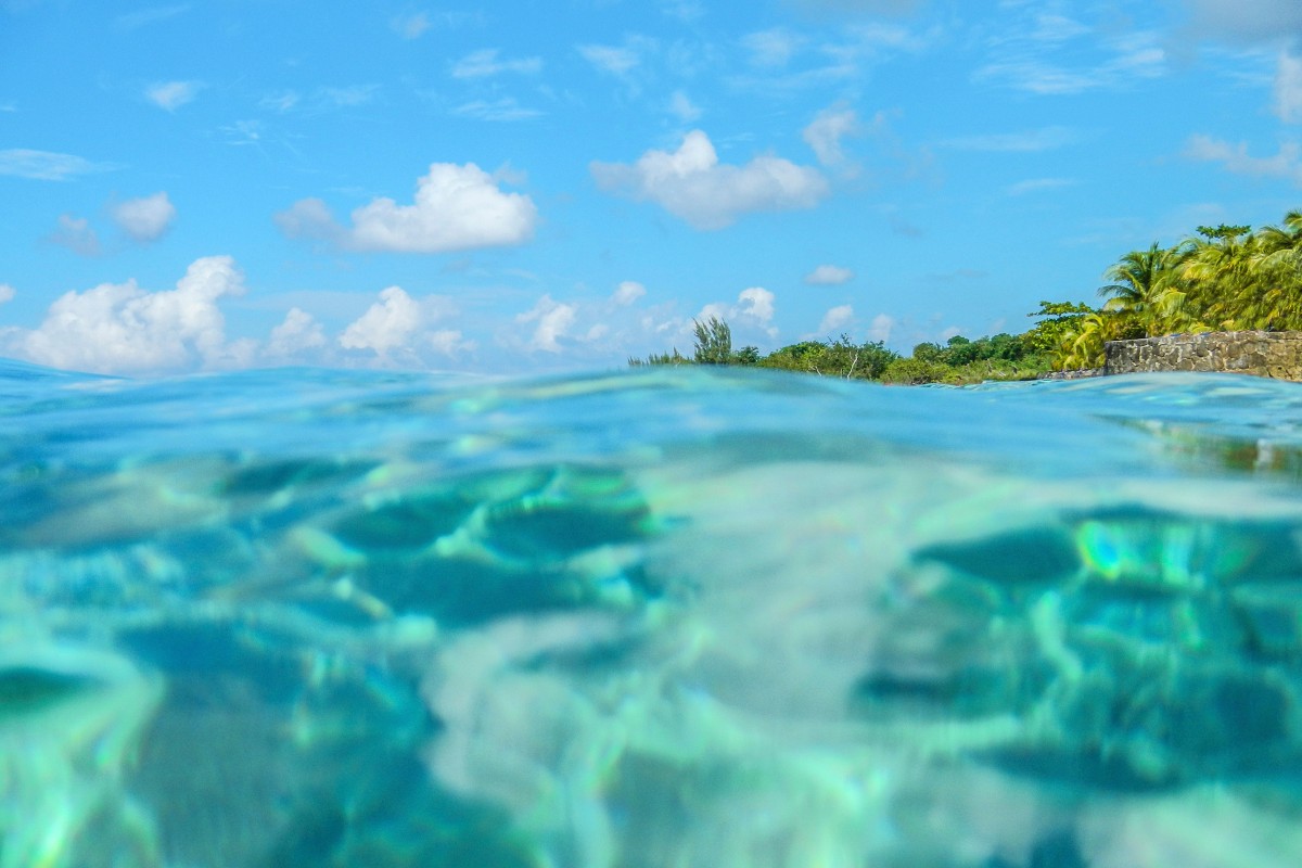 Vacaciones en Cozumel | Salida 23 de julio