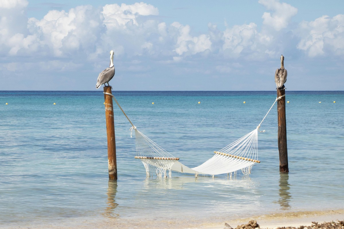 Vacaciones en Cozumel| Salida 21 de julio
