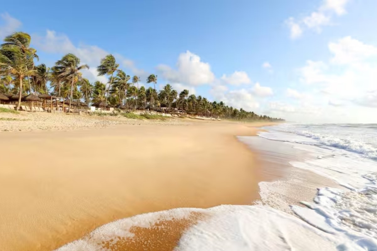 Imbassaí te espera | Salida 25 de enero y 08 de febrero 2026