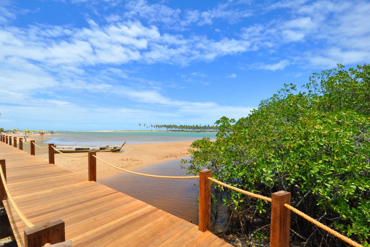 Imbassaí Perfecto | Salida 01 de marzo 2026