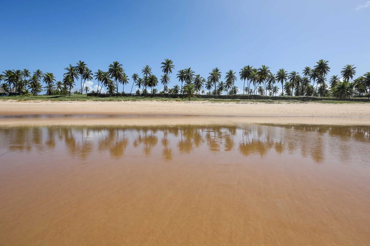 Imbassaí Perfecto | Salida 01 de marzo 2026