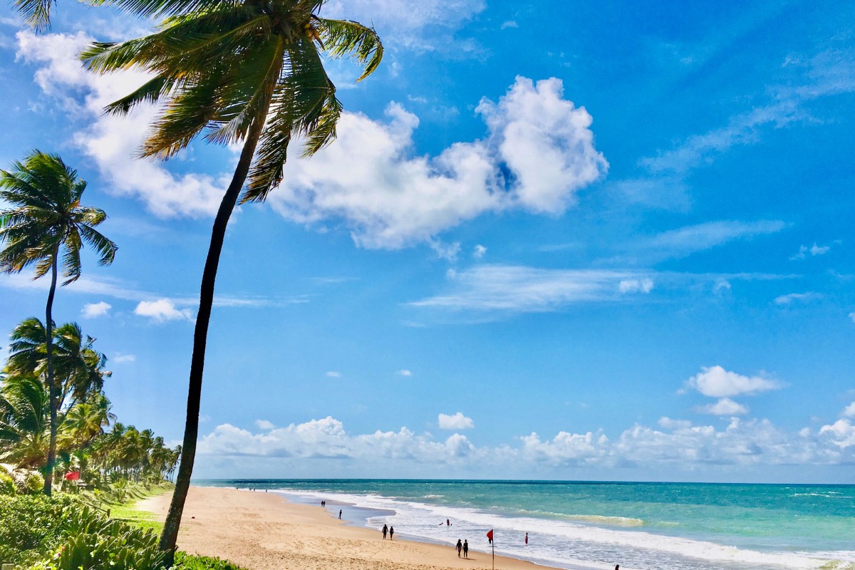 Rumbo a Praia do Forte | Salida 29 de marzo | Sky Airline