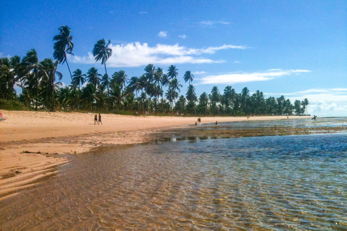 Verano en Praia do Forte | Salidas 11, 18 de enero y 01 de febrero 2026