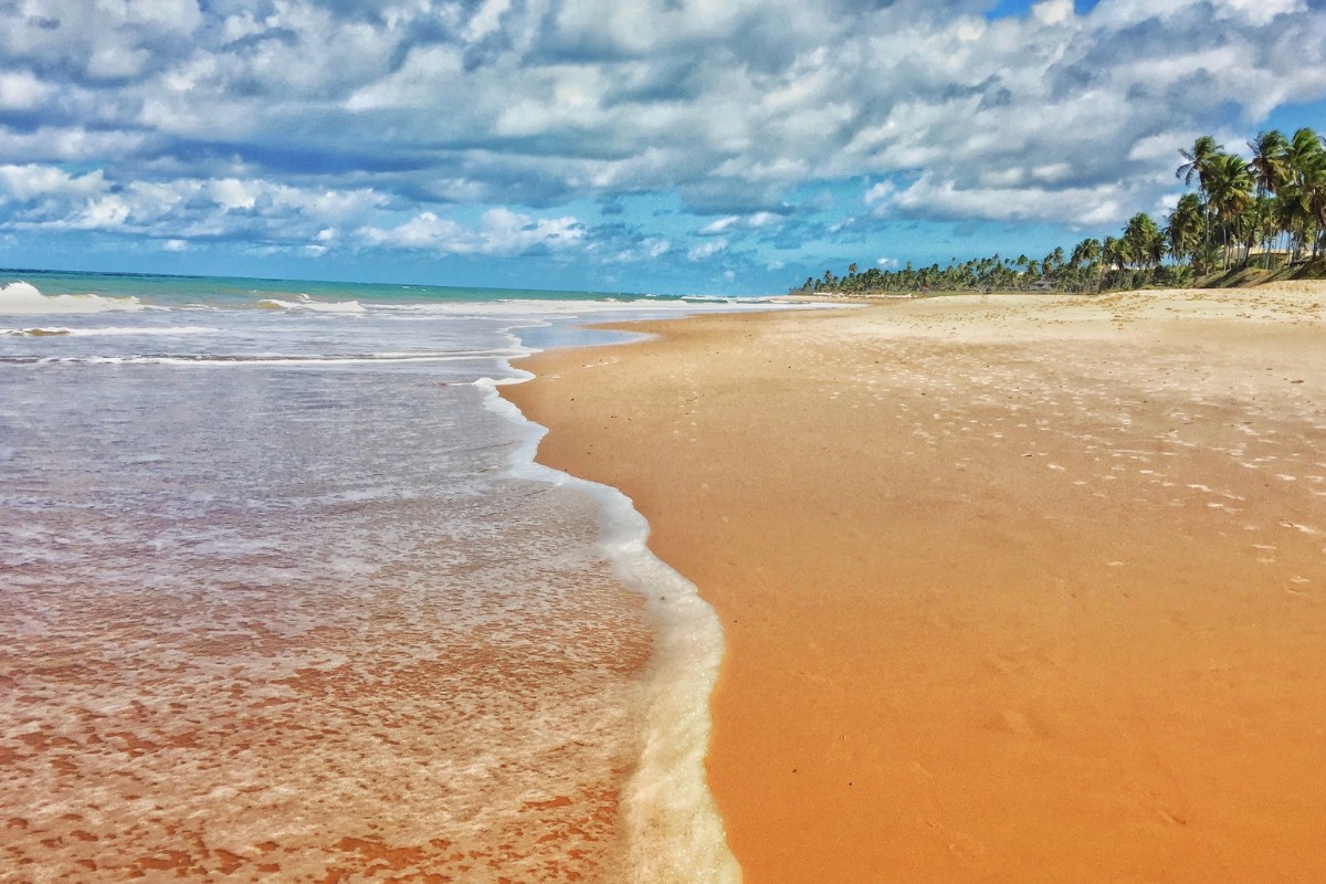 Paraíso en Praia do Forte | Salidas 25 de enero y 08 de febrero 2026