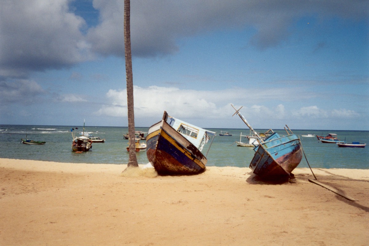 Viví Praia do Forte | Salida 29 de marzo 2026 | Gol