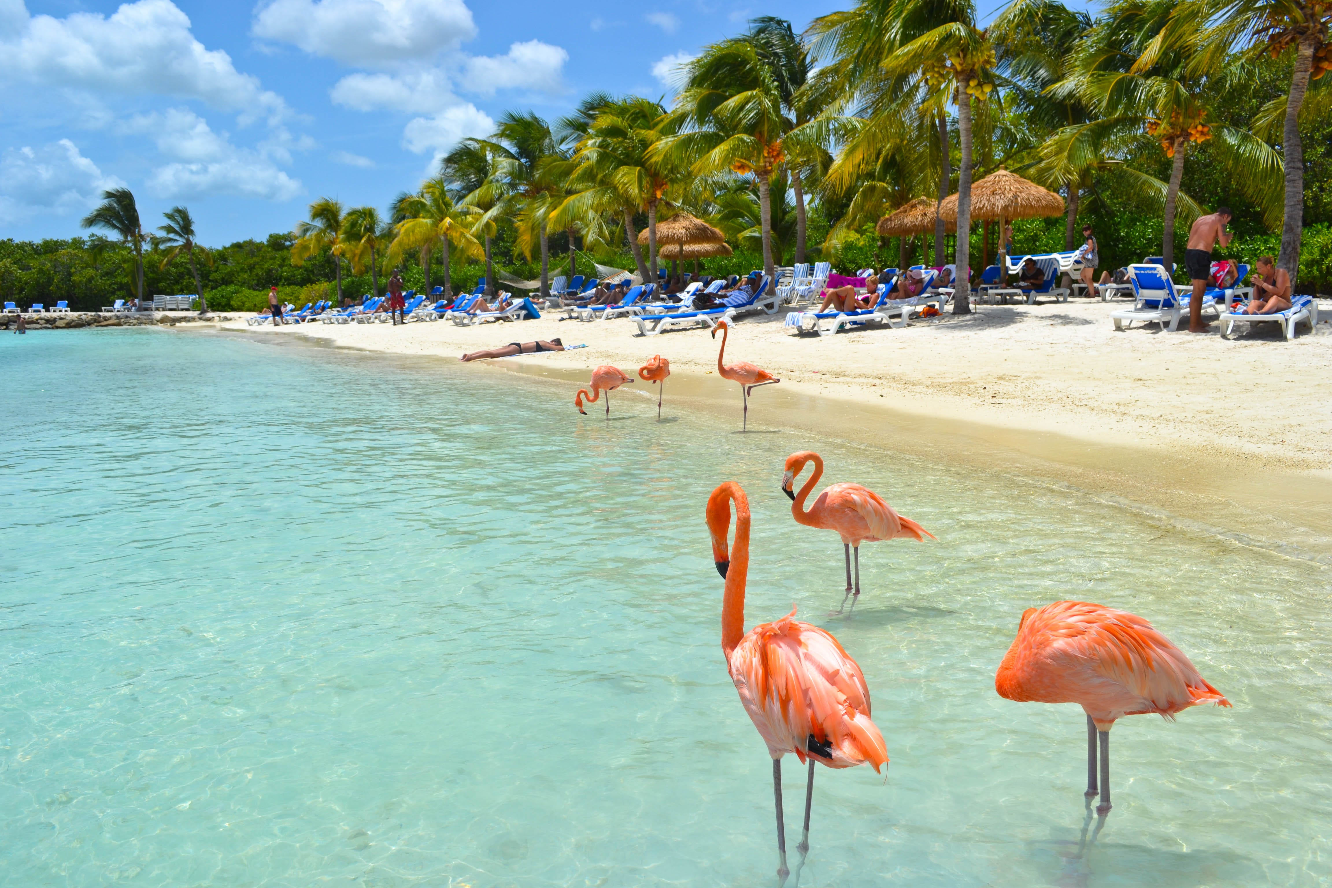Aruba - Salidas Regulares Septiembre