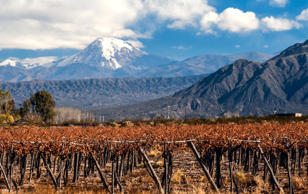 Mendoza - Ciudad y vino