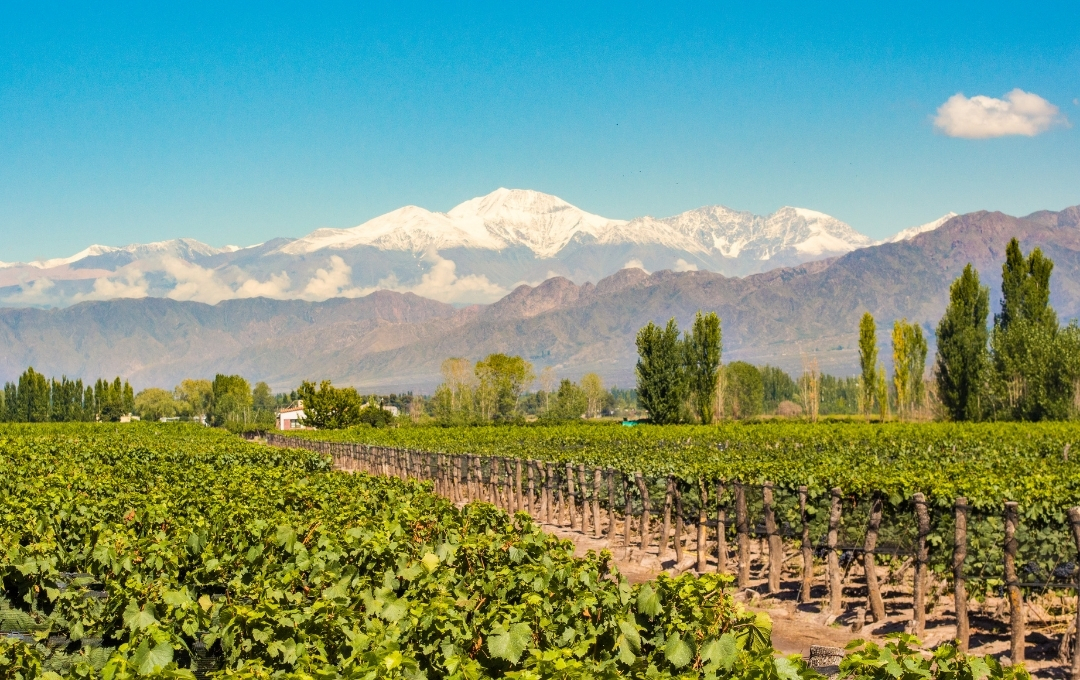 Mendoza Feriado 9 de Julio