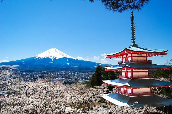 Contrastes de Japón – Fin Tokio