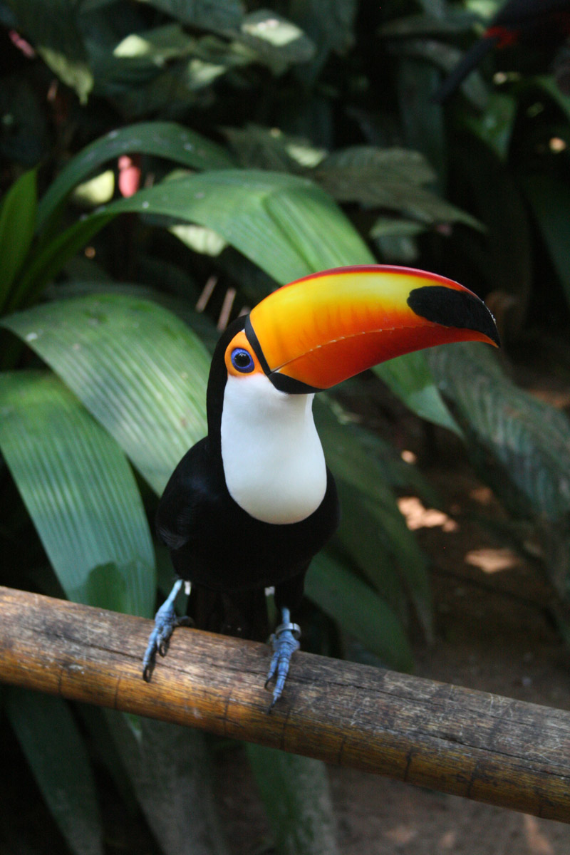Iguazú | Finde XL | Salida 10 de Octubre