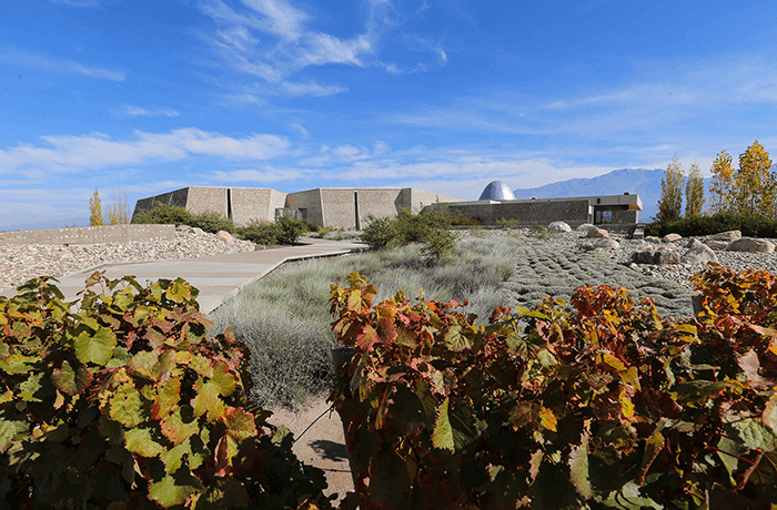Ruta del Vino I Bodega Piedra Infinita