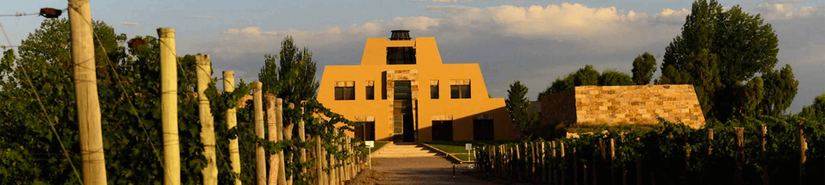 Alta Gama | Bodega Catena Zapata con degustación y almuerzo