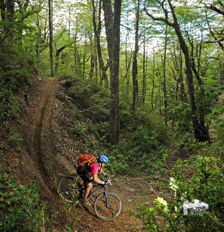 El Tour de los Andes®