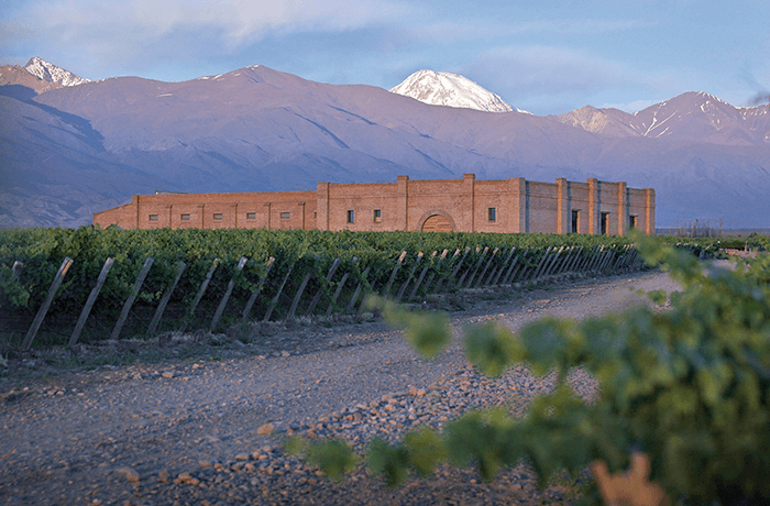 Alta Gama | Bodega Andeluna con Almuerzo de 3 pasos Cabernet Franc