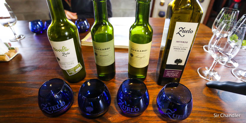 Curso de Degustación de Aceite de Oliva en Pan & Oliva (Familia Zuccardi)