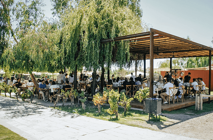 Ruta del Vino I Bodega Casa El Enemigo Almuerzo