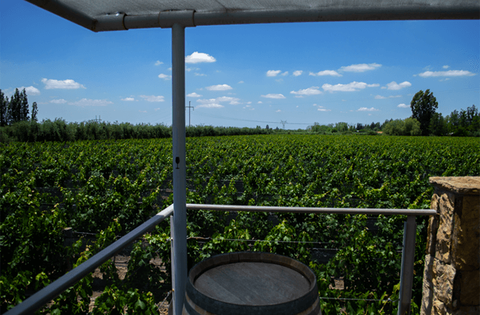 Imagen 5