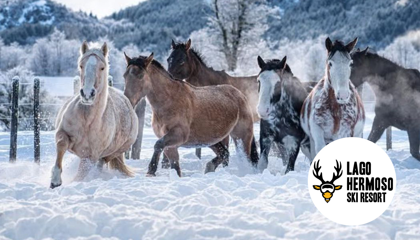 Cabalgatas Blancas