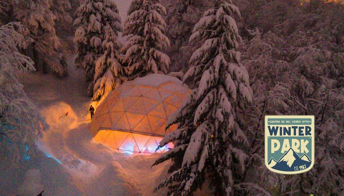 Winter Night
