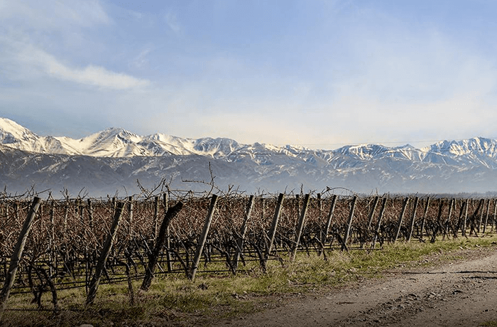 Valle de Uco - Domaine Bousquet