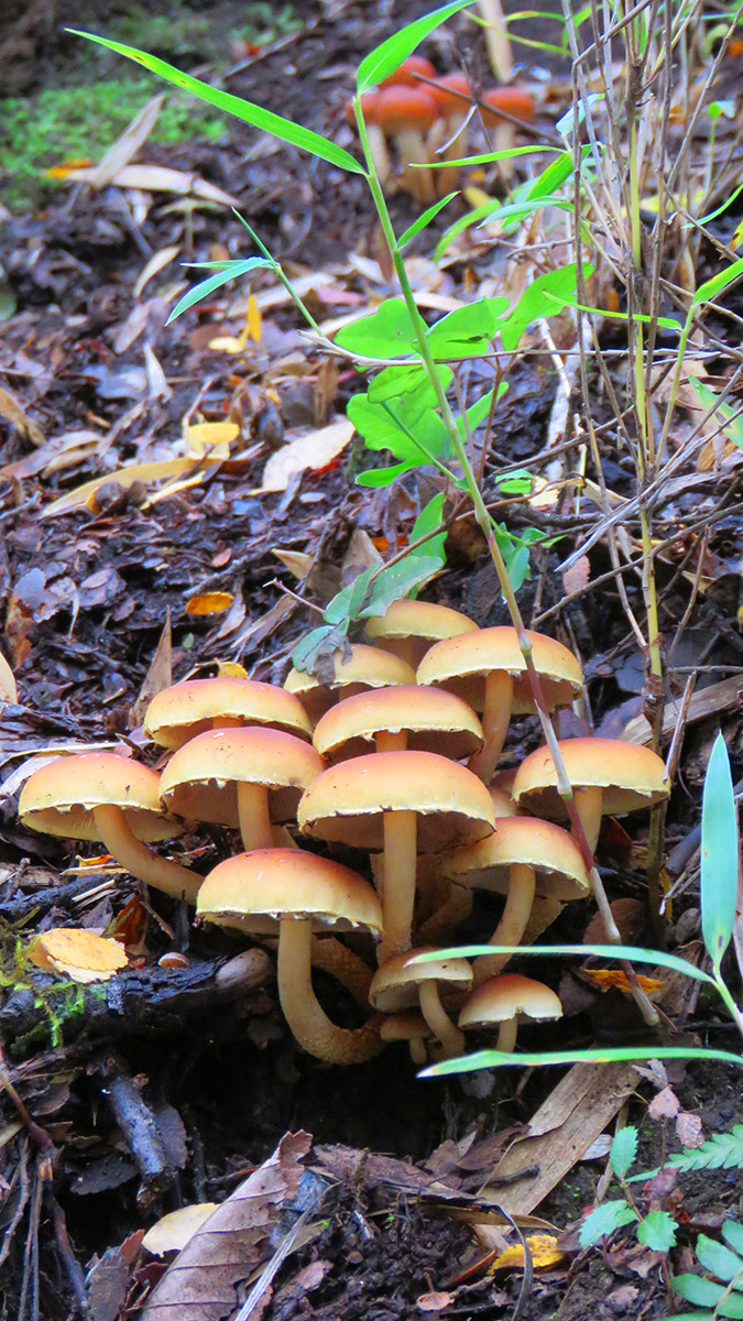 Foto 17