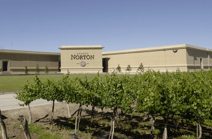 Ruta del Vino I Bodega Norton 4 pasos
