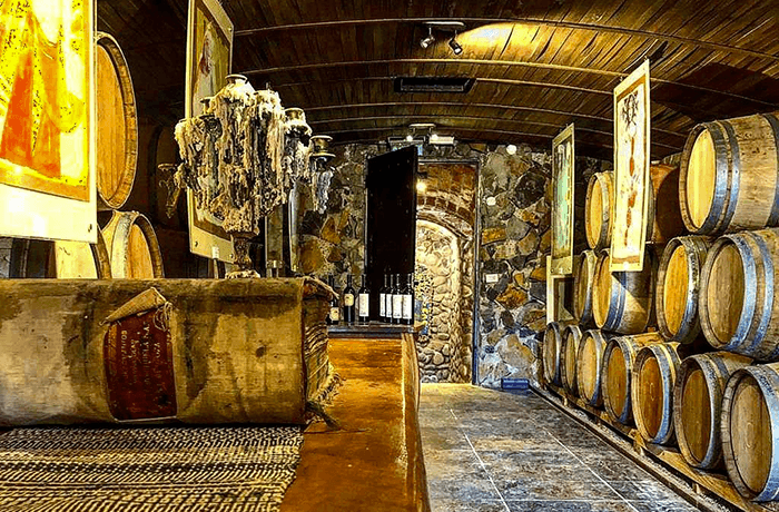 Ruta del Vino I Bodega Catena Zapata Blending Games I Almuerzo en Enemigo