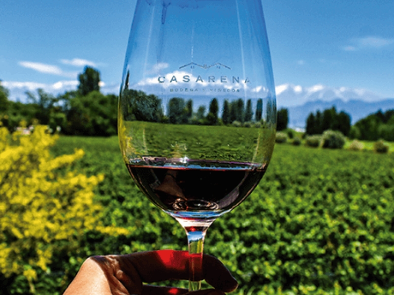 Caminos del Vino