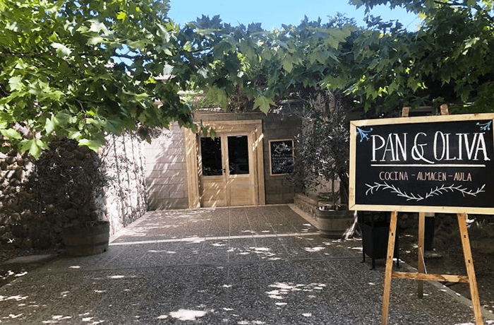 Ruta del Vino I Bodega Santa Julia Pan y Oliva