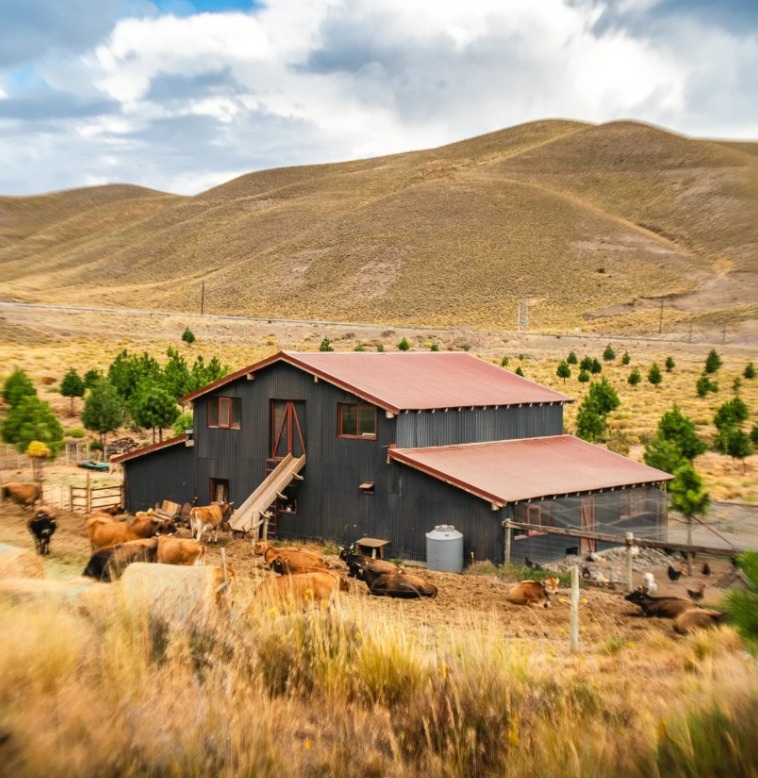 Excursiones en San Martin de los Andes - Estepa Patagónica y establecimiento de campo con degustación de quesos