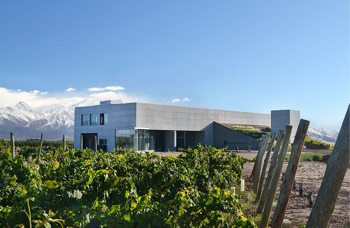 Tradición del Vino Villafane