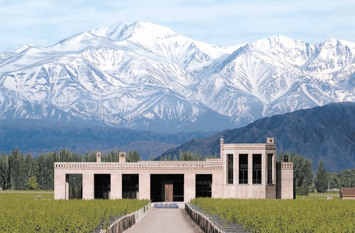 Ruta del Vino I Bodega Belasco Baquedano