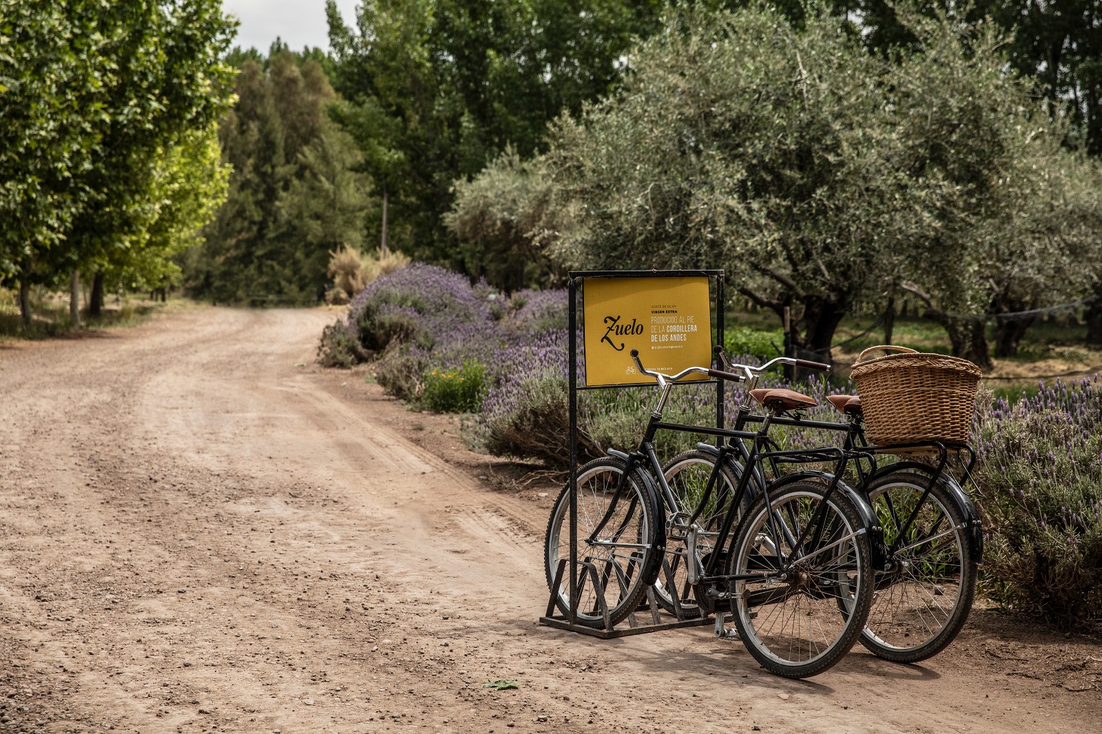 Bike and Tasting