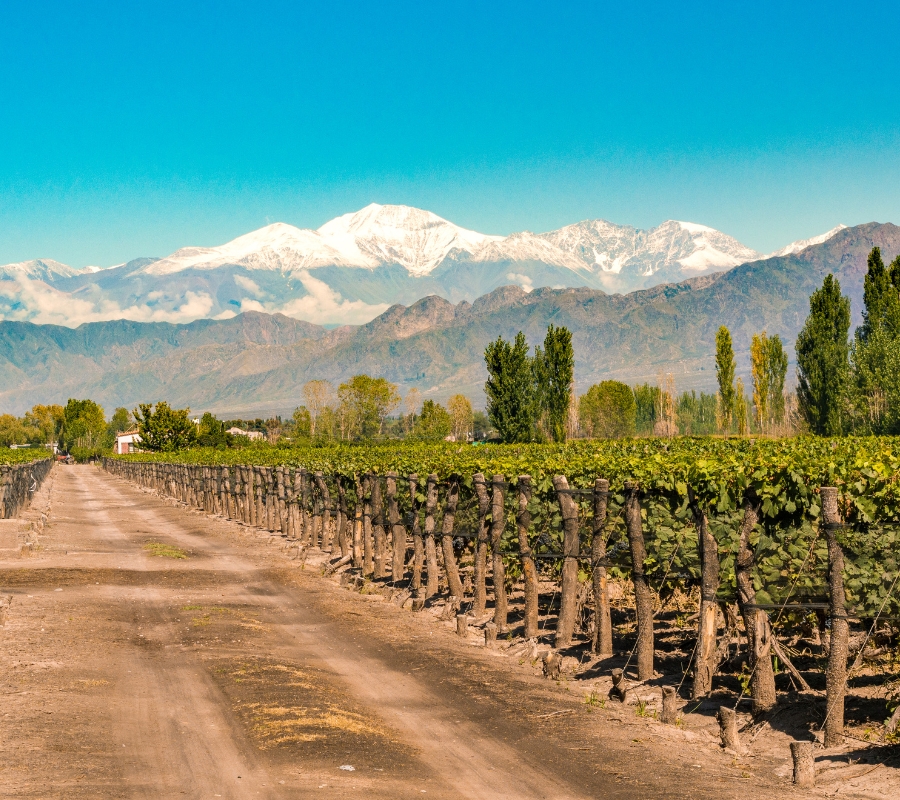 Hoteles en Mendoza