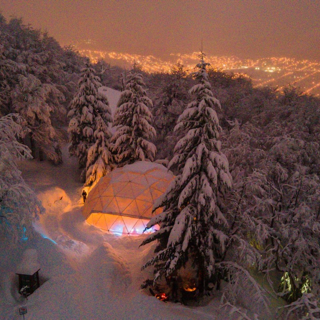 Winter Night
